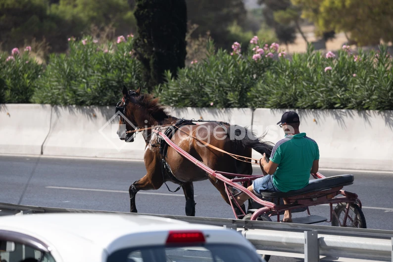 Horse Cart on City Street