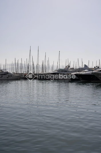 Serene Marina View