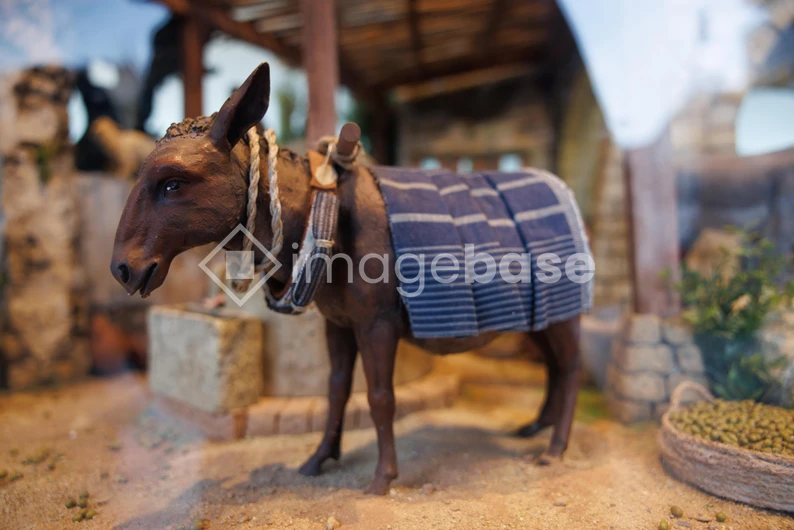 Rural Donkey in a Rustic Setting