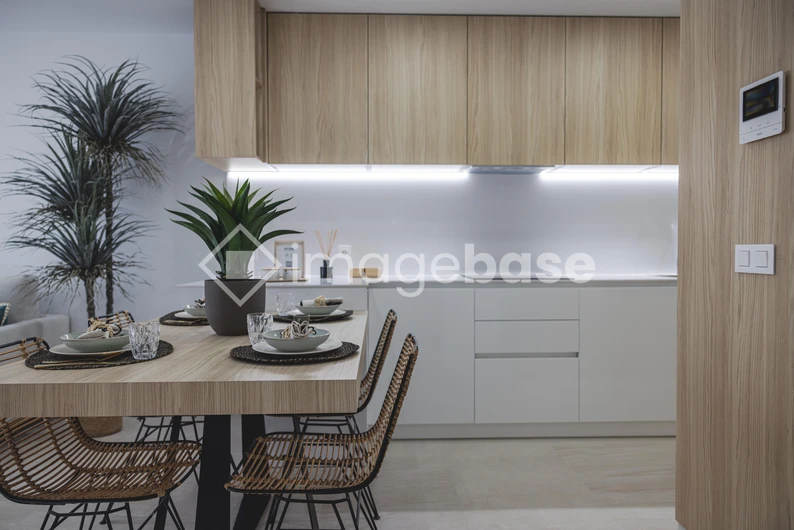 Modern Kitchen Interior