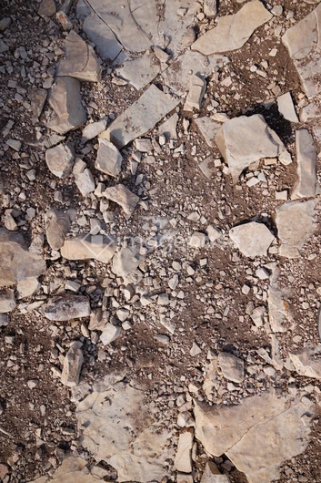 Rocky Surface Texture