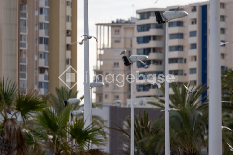 Seaside Urban View