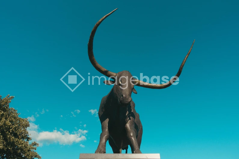 Majestic Bull Statue
