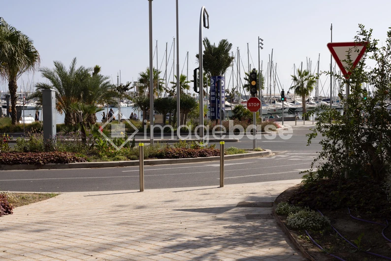 Marina View with Palm Trees