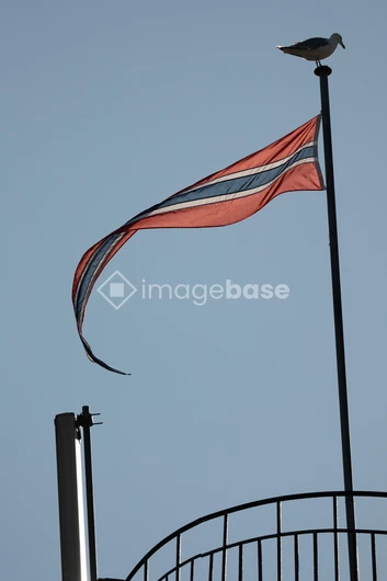 Flag and Seagull