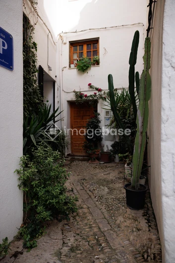 Charming Courtyard Entry