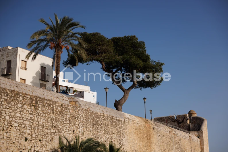 Historic Seaside Wall