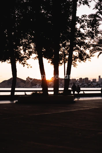 Evening Stroll by the Waterfront