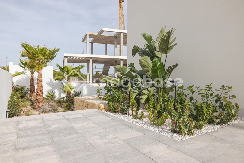 Modern Minimalist Garden