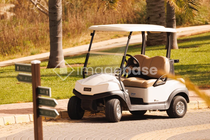 Golf Cart in a Park Setting