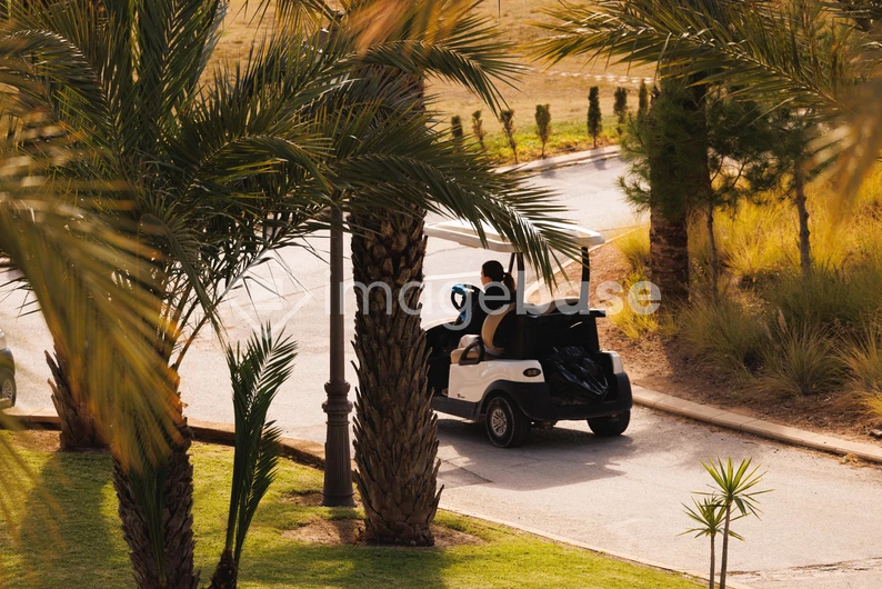 Golf Cart Under Palms