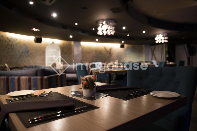 Elegant Dining Ambience
