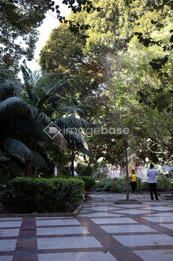 Lush Urban Park Scene