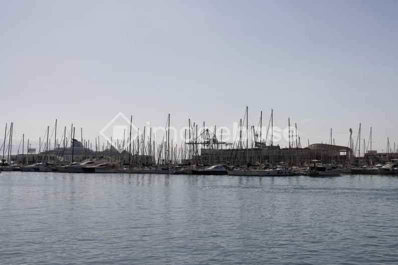 Marina with Boats