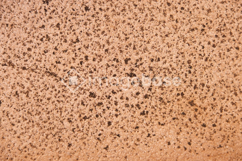 Speckled Texture Surface