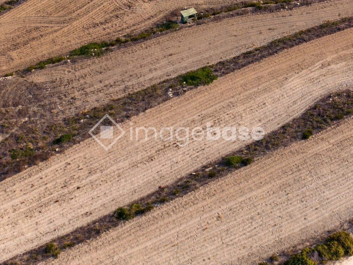 Aerial View of Agricultural Fields