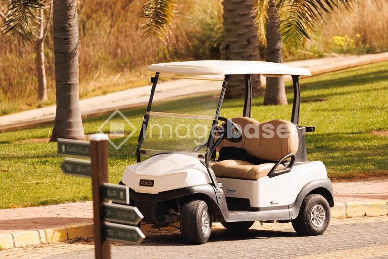 Sunny Golf Course Cart