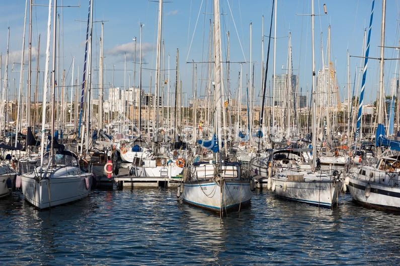 Marina with Sailboats