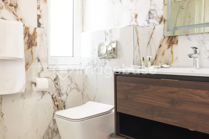Luxurious Bathroom Interior
