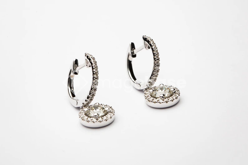 Elegant Silver Earrings