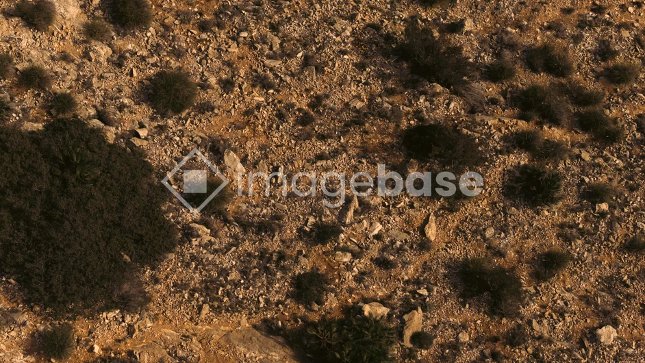 Rocky Desert Terrain