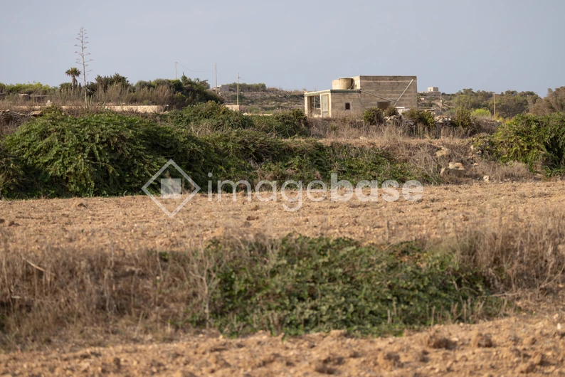 Rural Landscape Scene