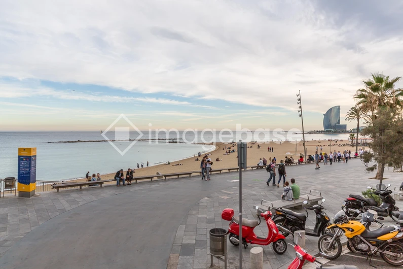 Coastal Cityscape with Beach