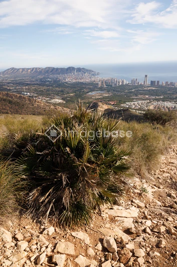 Scenic Coastal Landscape