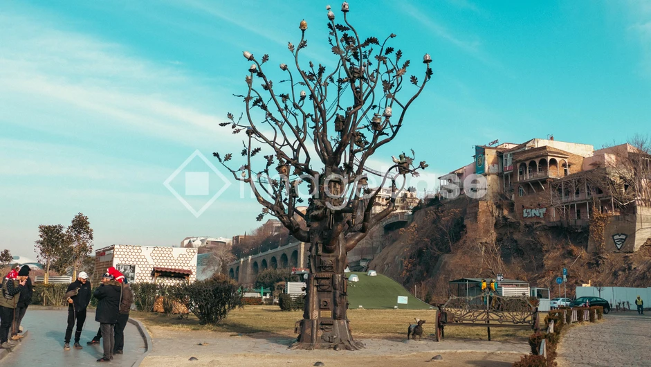 Artistic Tree in Urban Setting
