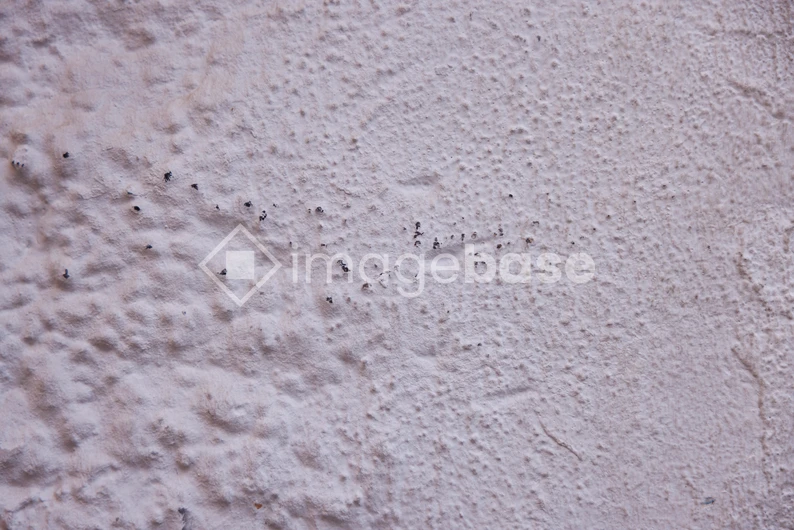 Ants on Textured Surface