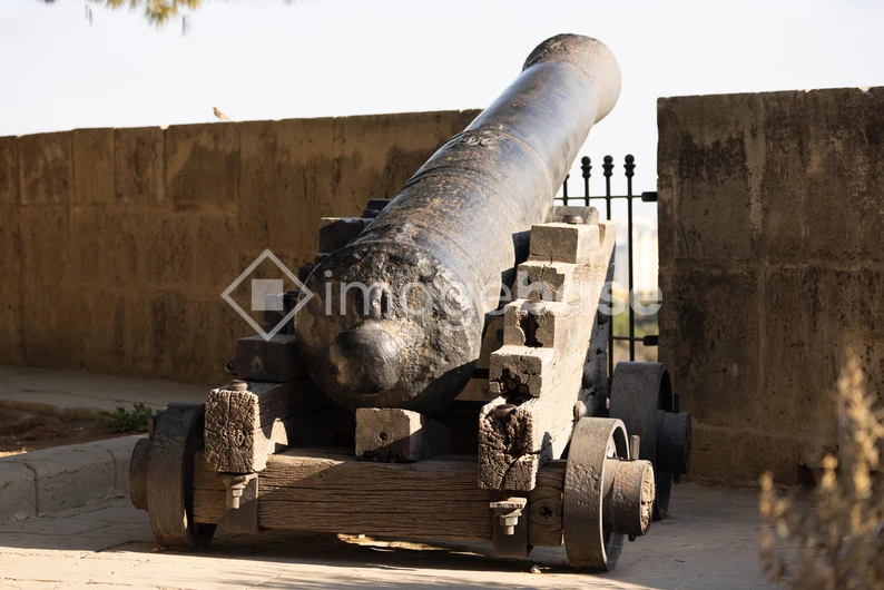Historic Cannon at Fort