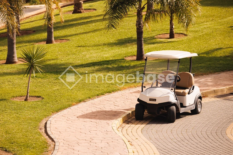 Golf Cart by the Palm Trees