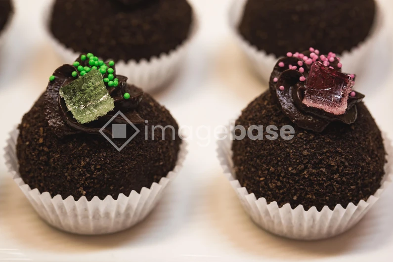 Chocolate Truffle Dessert