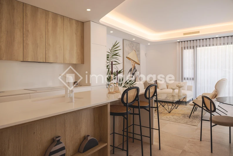 Modern Living Room and Kitchen