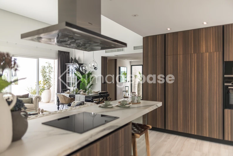 Modern Kitchen Interior