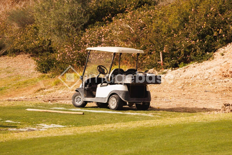 Golf Cart on the Greens