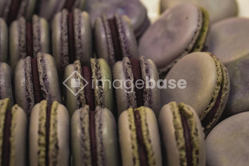 Purple Macarons Collection