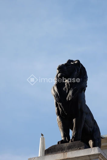 Majestic Lion Statue