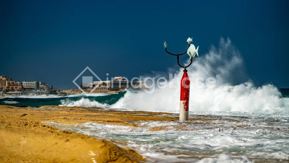 Coastal Waves and Buoy