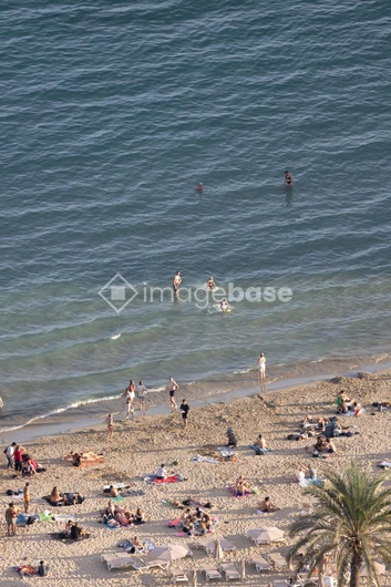 Sunny Beach View
