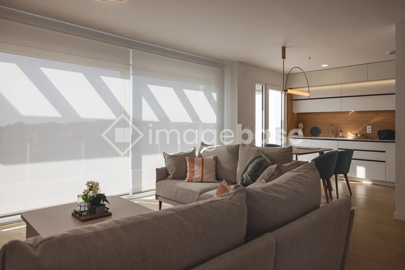 Modern Living Room Interior