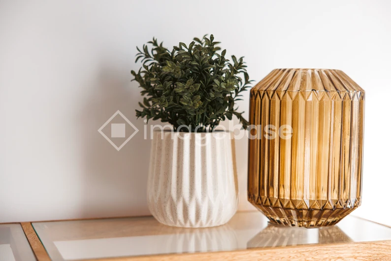 Decorative Plant and Vase