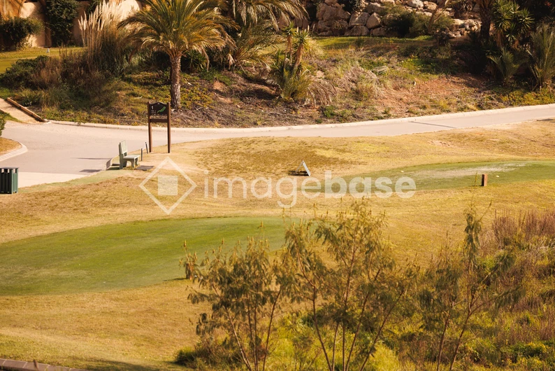Sunny Golf Course Landscape