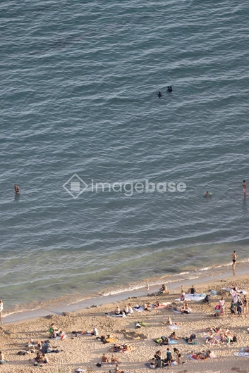 Busy Beach View