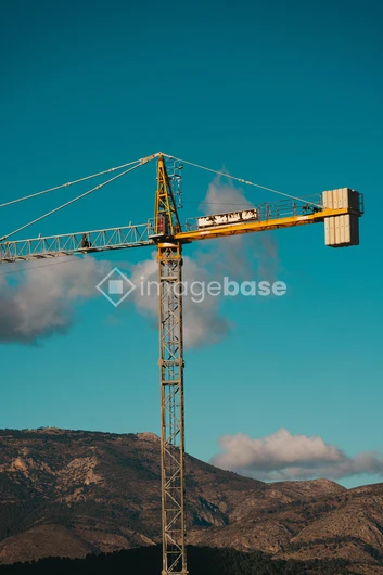Crane Against Mountainous Backdrop
