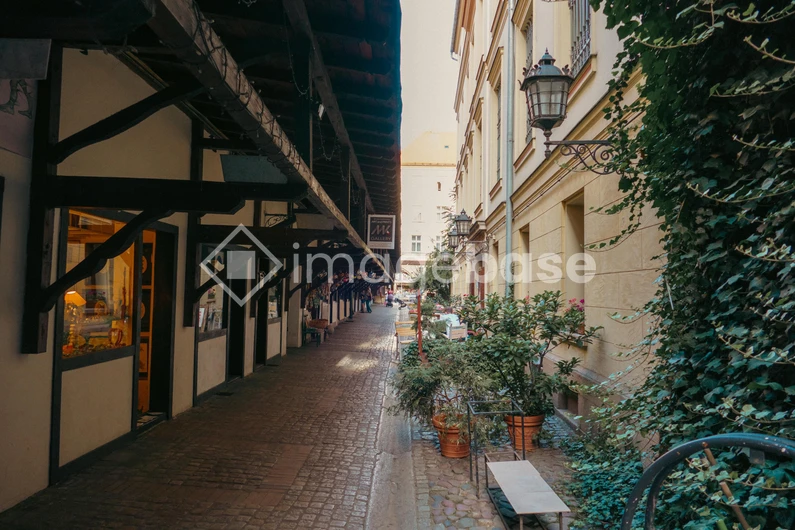 Charming Cobblestone Alley