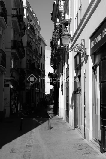 Charming Street in Black and White