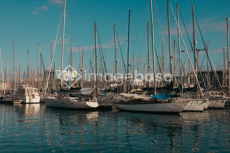 Serene Marina Scene