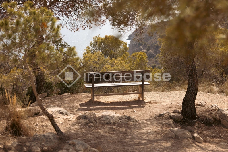 Serene Cliffside Bench