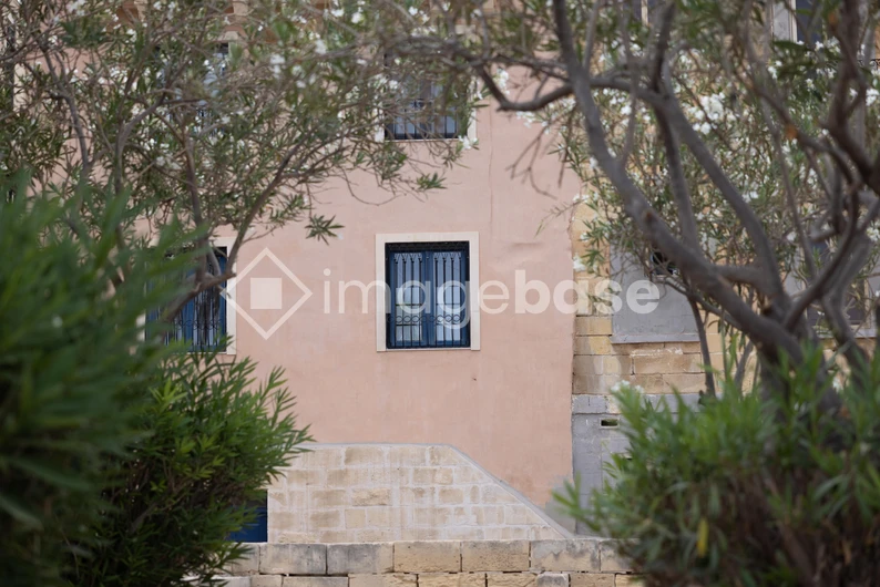 Tranquil Ivy-Covered Building